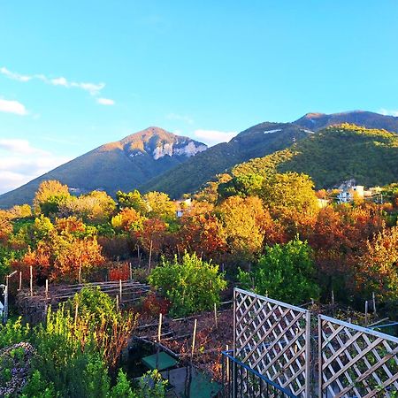 Casa Fifina Rooms Sant'Egidio del Monte Albino Zewnętrze zdjęcie